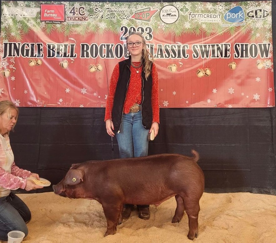Ivy Johnson
2023 Jingle Bell Rockout Classic Swine Show
Reserve Champion TN Bred 
Duroc Barrow