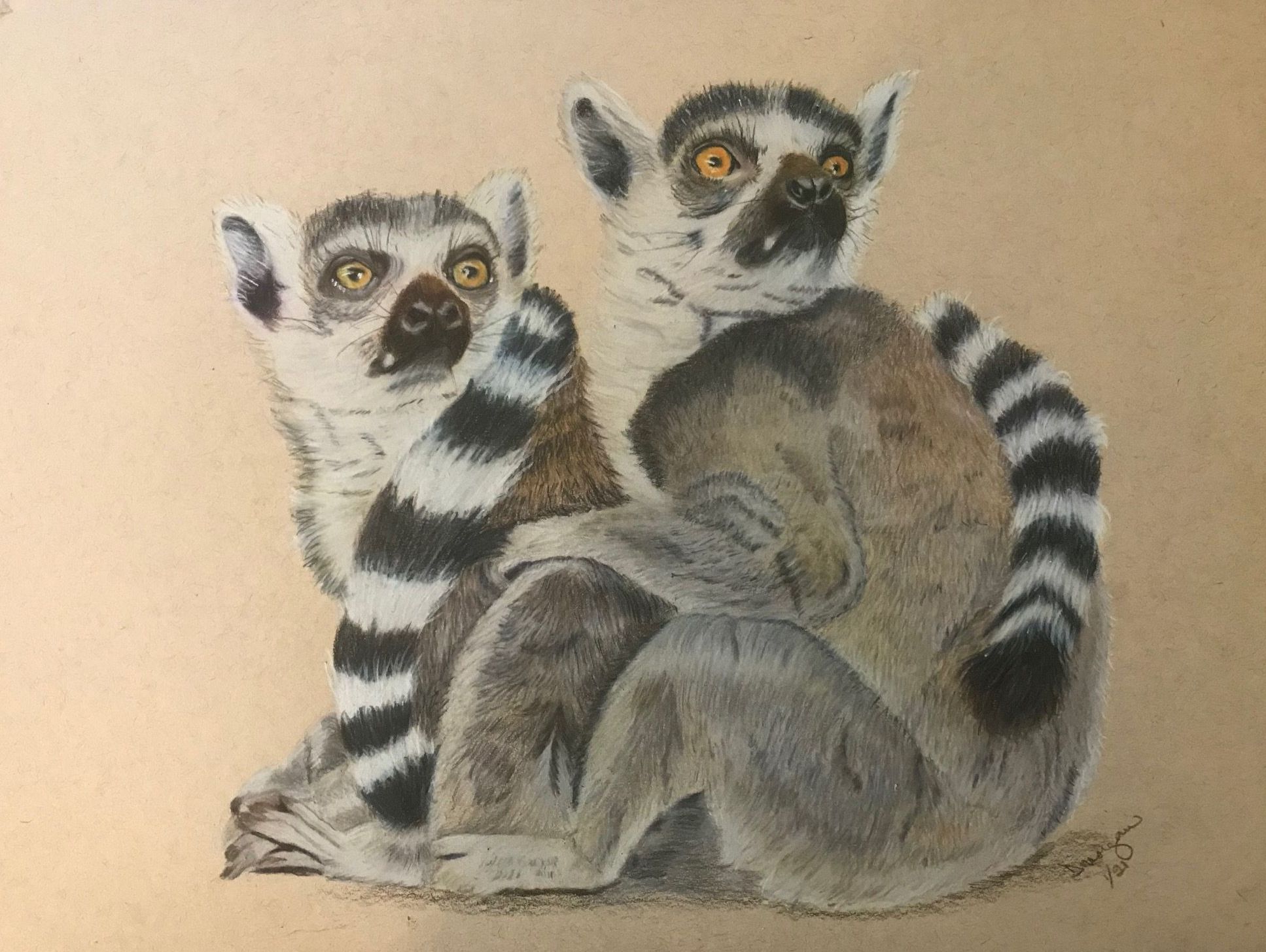 Lemur Twins