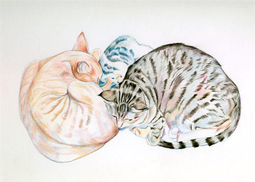 Three's a Crowd (Coloured Pencil) NFS