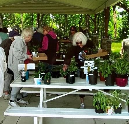 https://0201.nccdn.net/1_2/000/000/0ee/33d/plant-sale-23-1-1.jpg