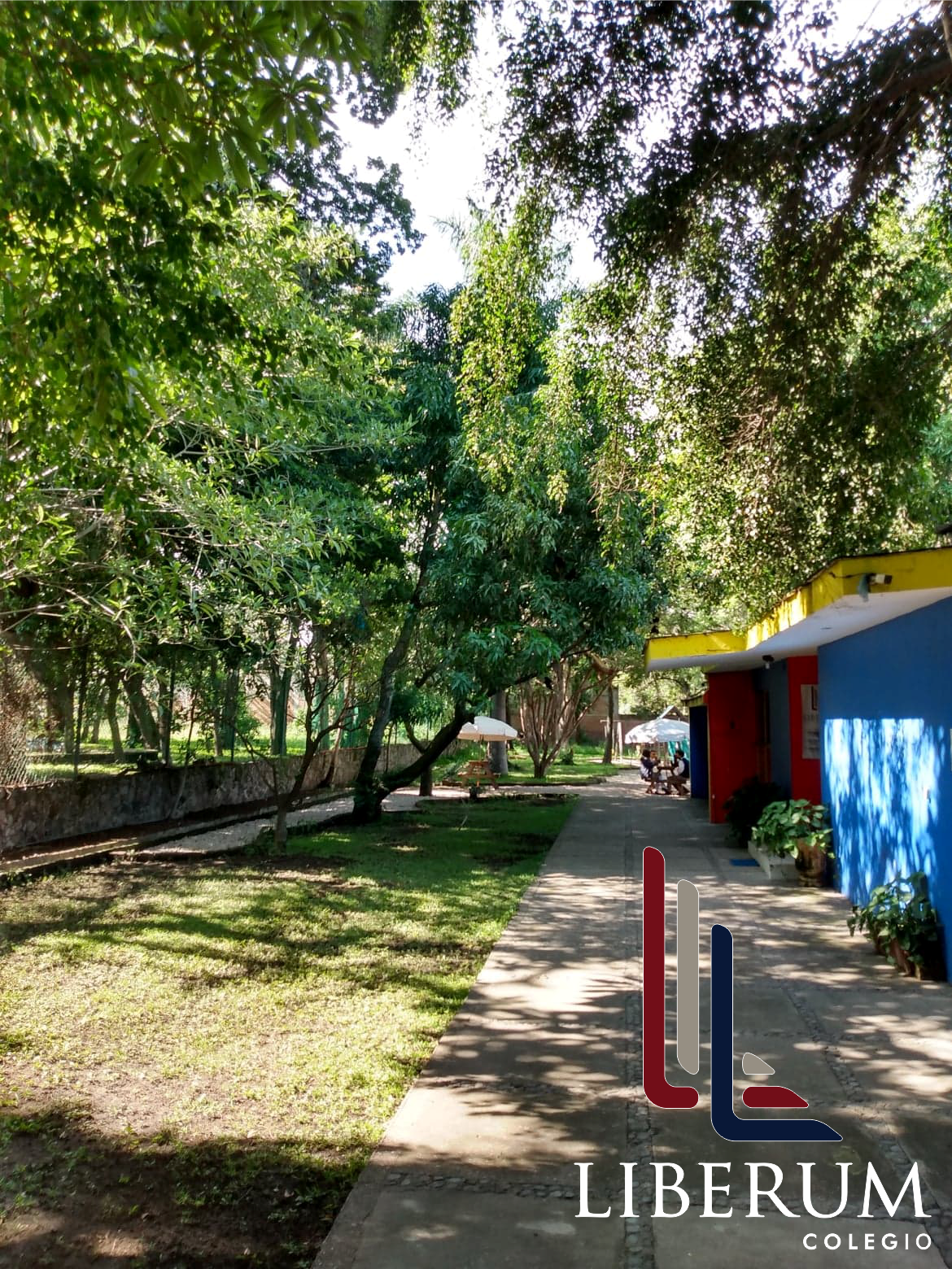 Grandes áreas verdes para ti
