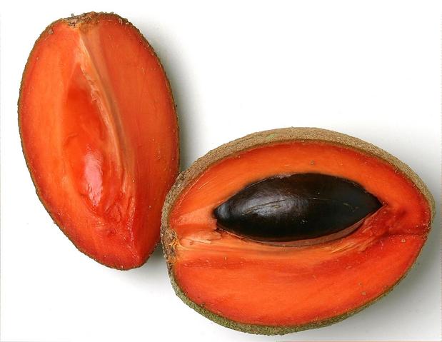 https://0201.nccdn.net/1_2/000/000/0ef/23c/mamey-sapote.jpg