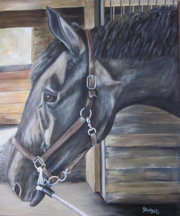 Randall, Acrylic, 30x36 on Gallery Canvas