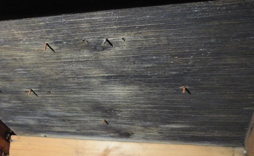 Attic Sheeting Covered with Mould