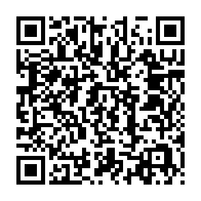 Imagen de logotipo de muestra