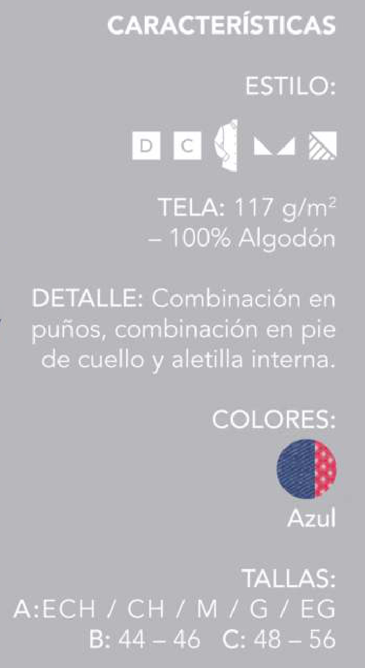 CARACTERISTICAS ESTILO NAPOLES