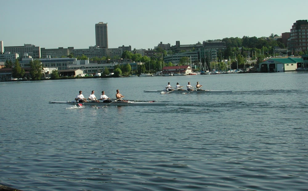 Several canoes with people in them, rowing on the bay