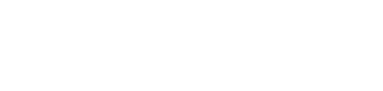 TRAVELLI