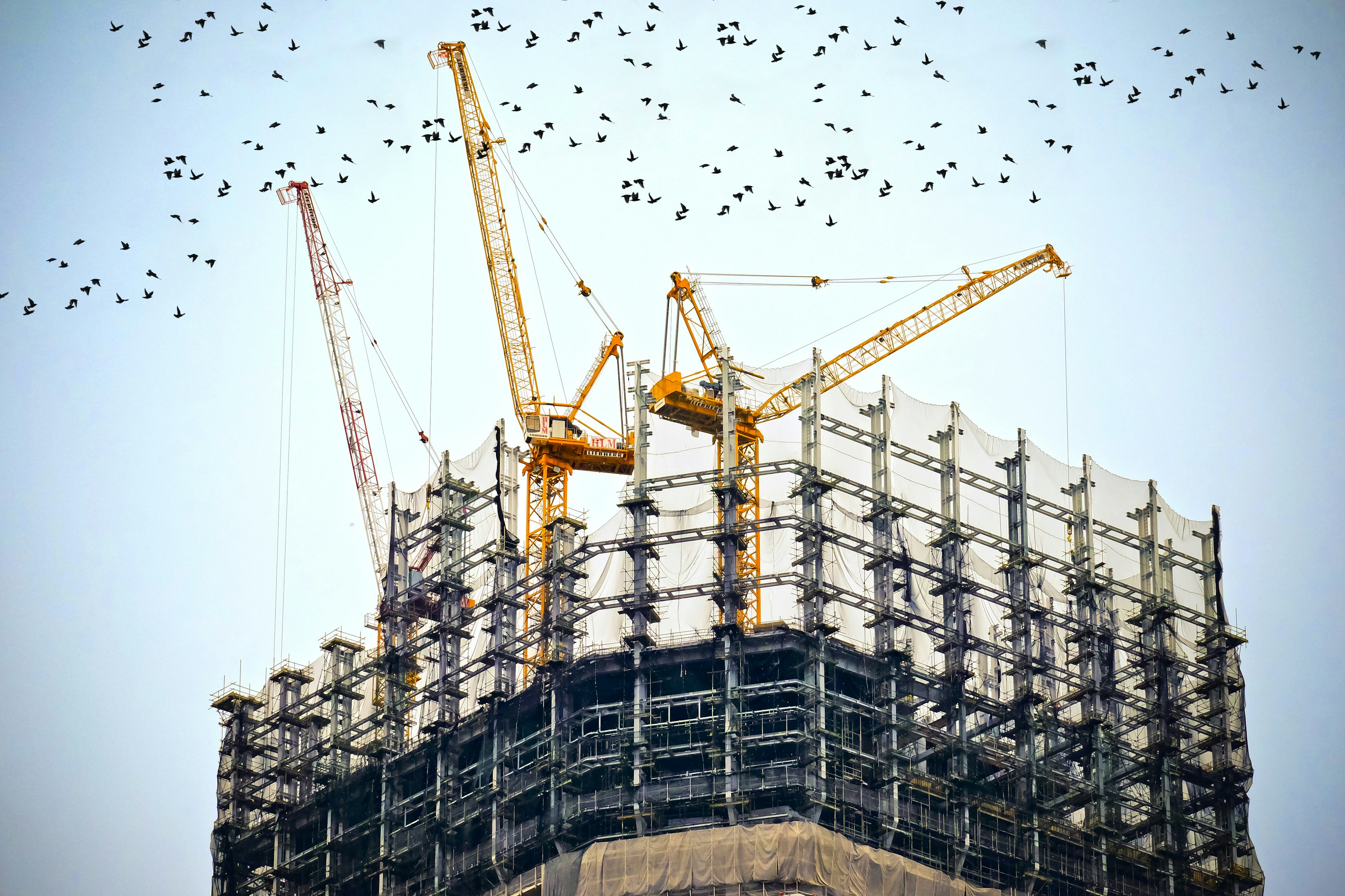 fotografía en ángulo bajo de grúas en la cima del edificio