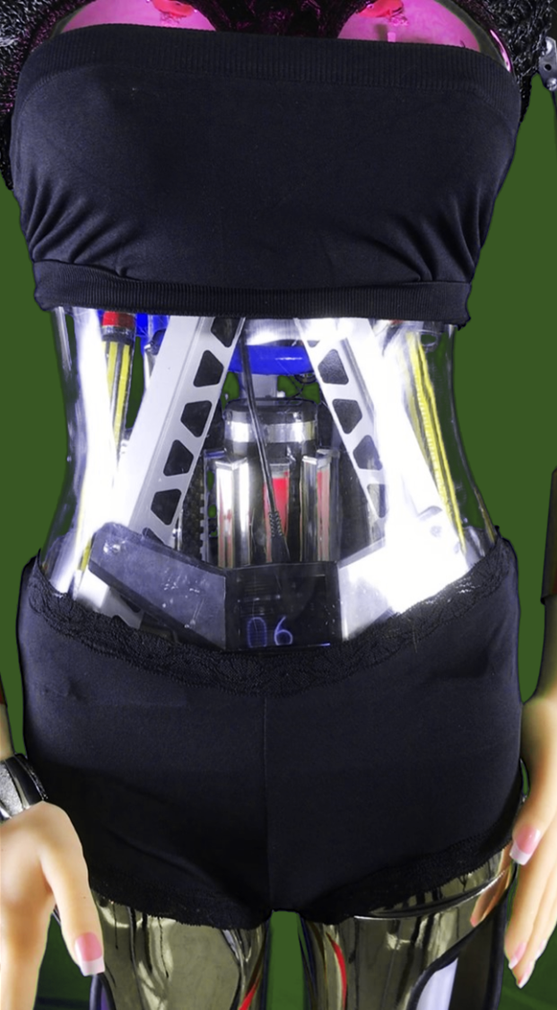 Kolander Images - Lucia Build - Abdomen