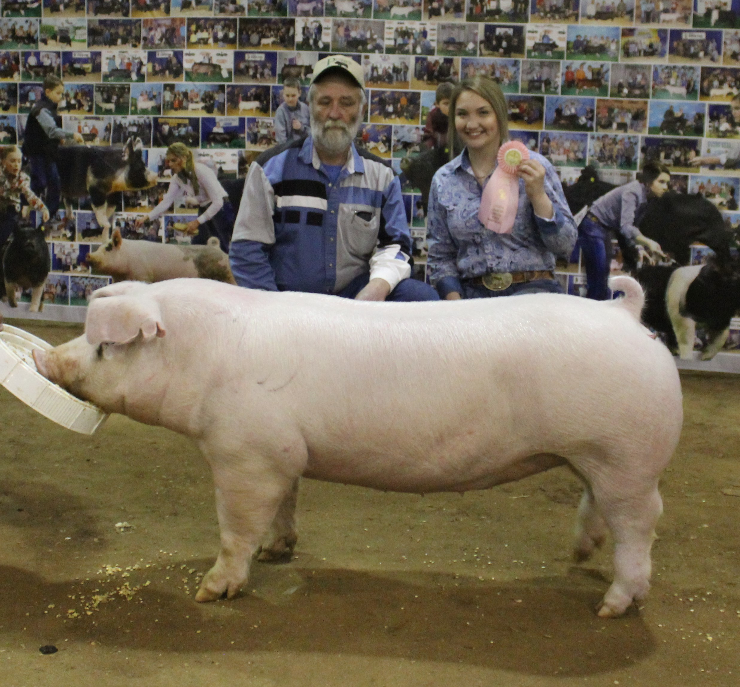Gracee Woods
2020 Tennessee State Swine Show
Reserve Champion Chester White Gilt
