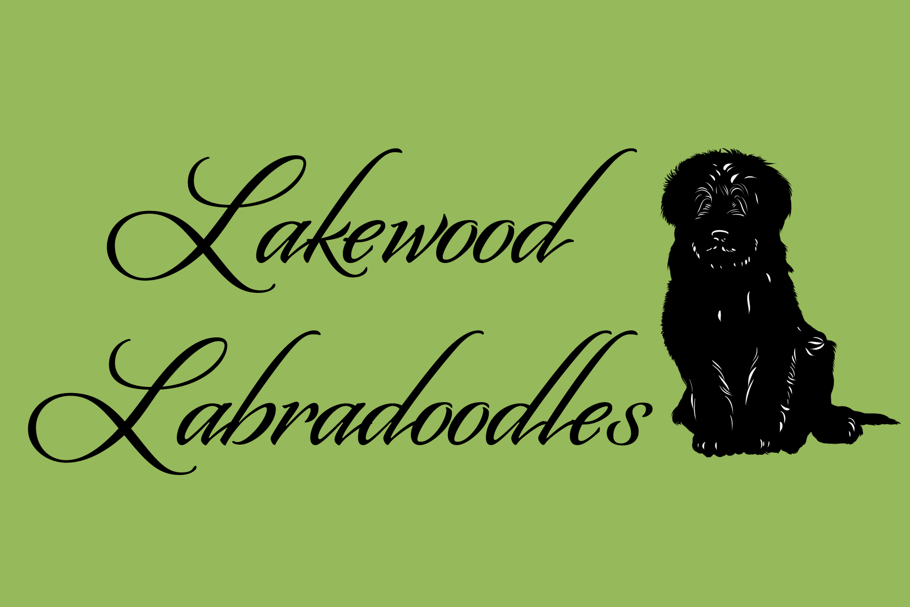 Lakewood Australian Labradoodles