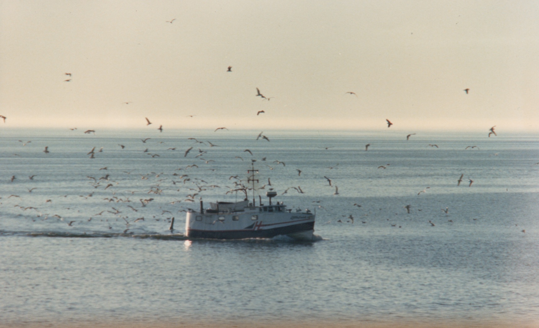 https://0201.nccdn.net/1_2/000/000/0ef/e8e/fishing-tug.jpg