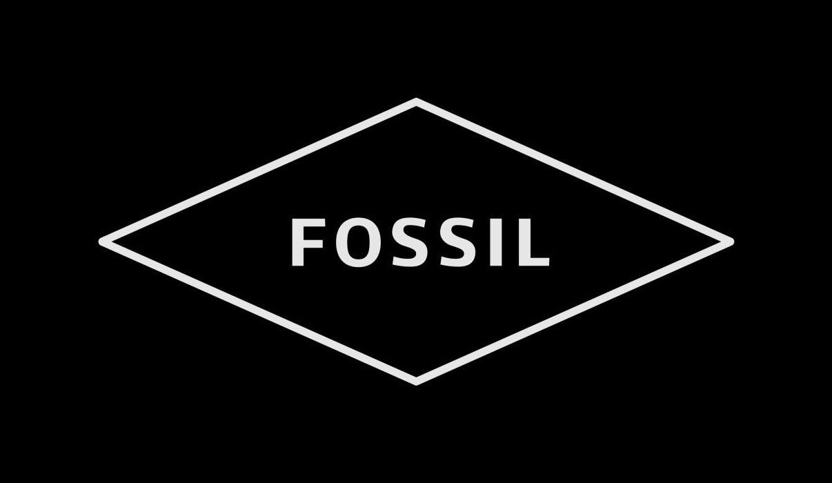 https://0201.nccdn.net/1_2/000/000/0ef/f38/fossil.jpg