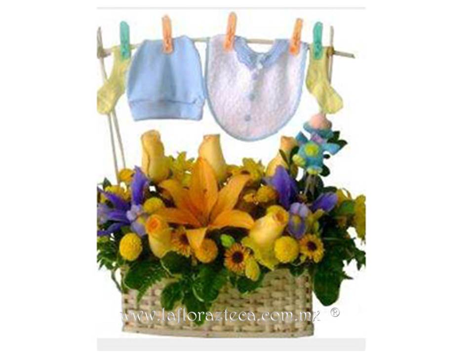 LFA-609
Precio $1,050