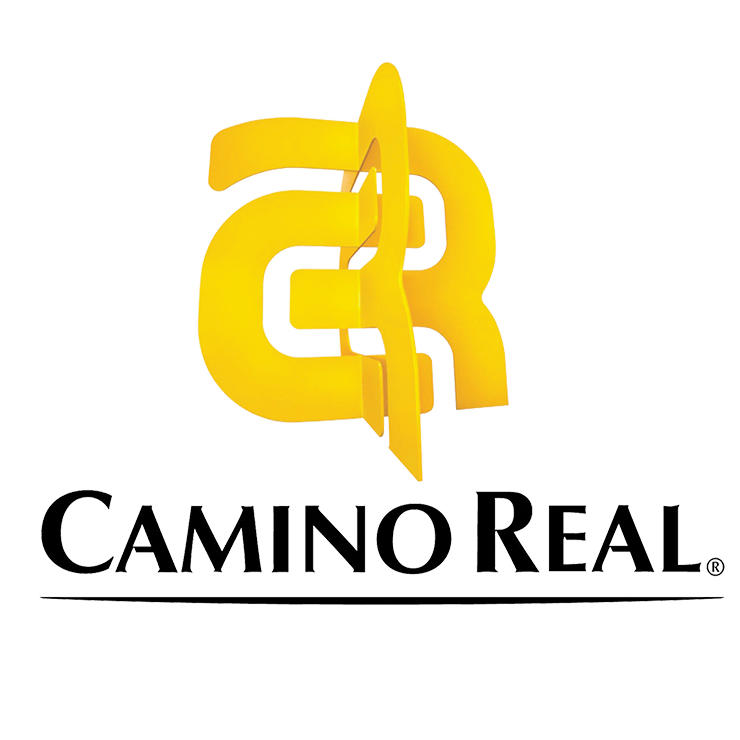 https://0201.nccdn.net/1_2/000/000/0f0/136/logo-camino.png