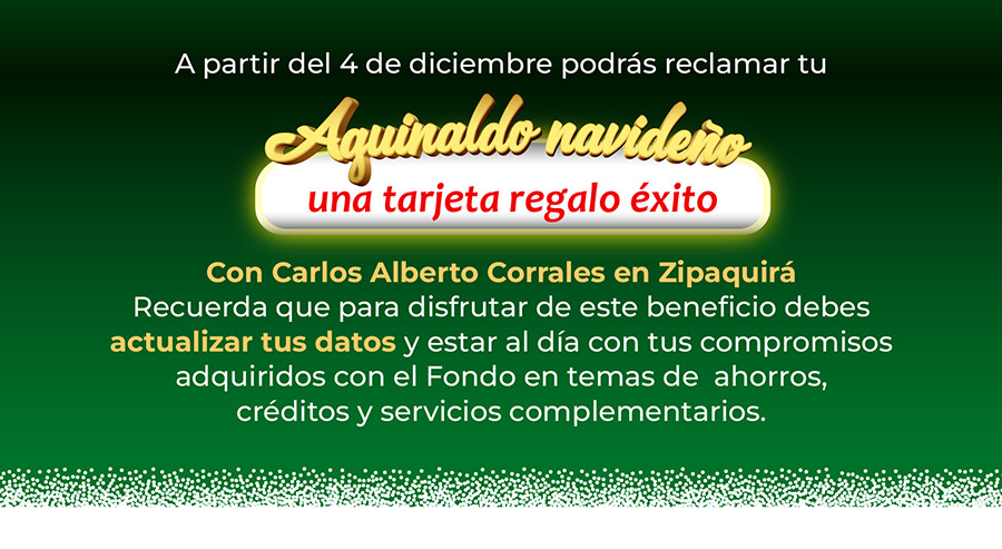 https://0201.nccdn.net/1_2/000/000/0f0/1bf/banner-navidad-b.jpg