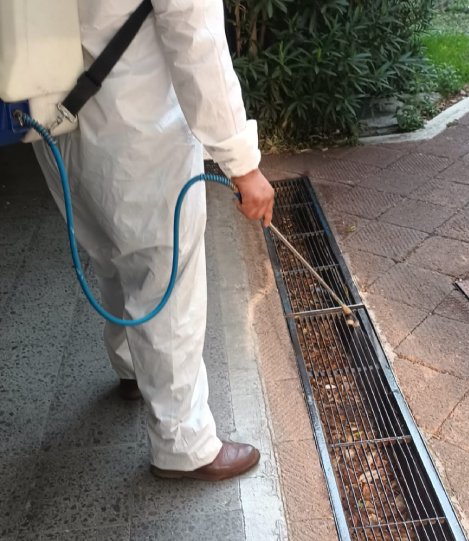 Hombre de traje caminando por un pasillo moderno con plantas en macetas.