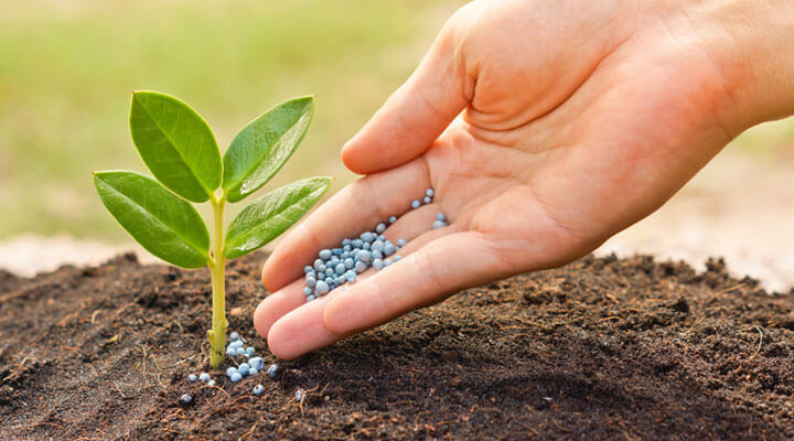 Geyser - FERTILIZANTES DE CALIDAD