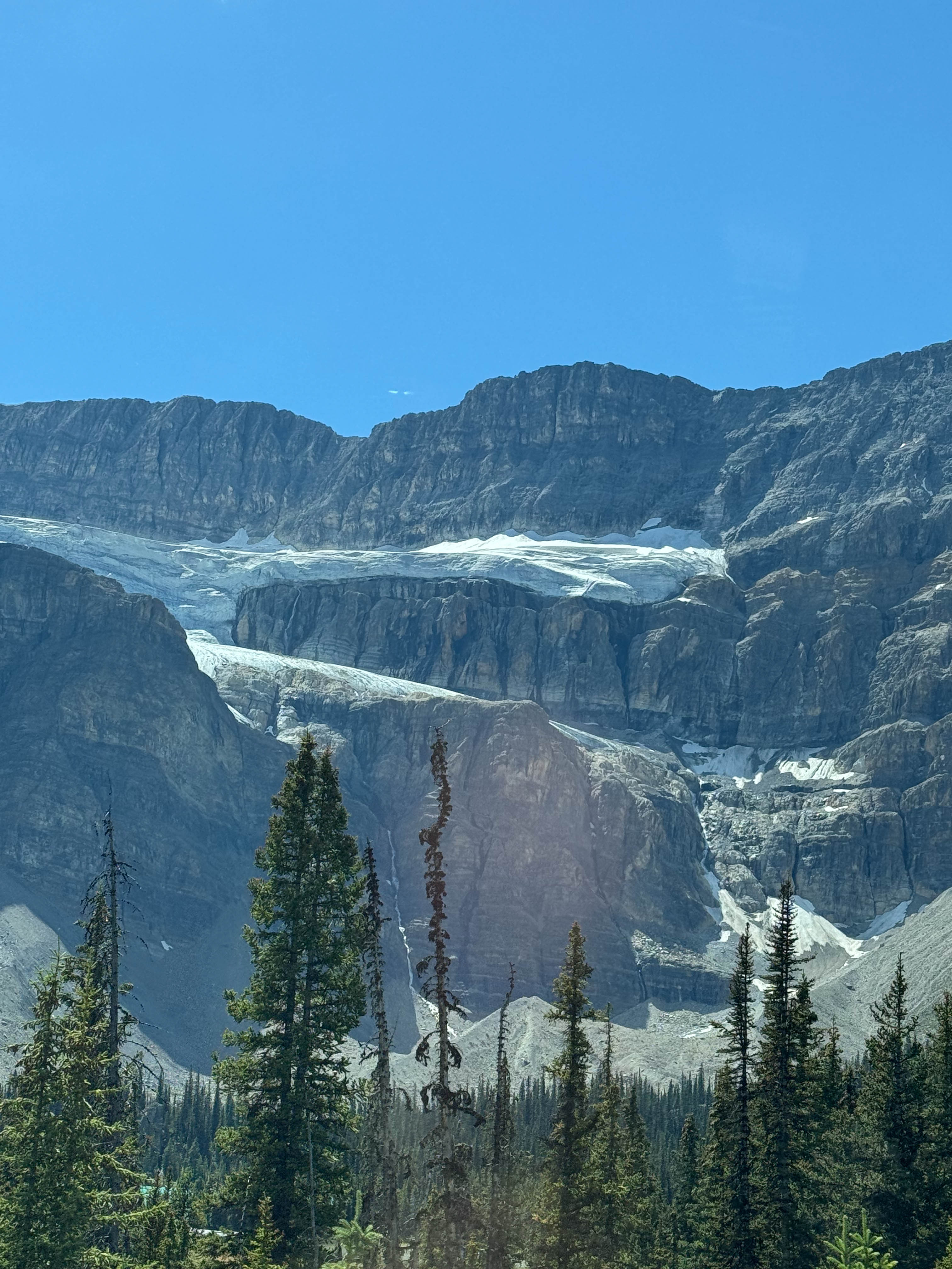 https://0201.nccdn.net/1_2/000/000/0f0/ac9/calgary-order-197.jpg