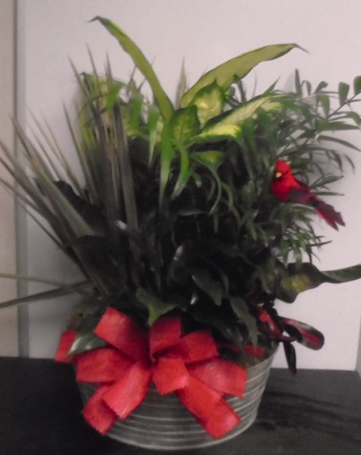 (SORRY SOLD!!)
(8) Dish-Garden Plant 
With Red Bird
$100.00