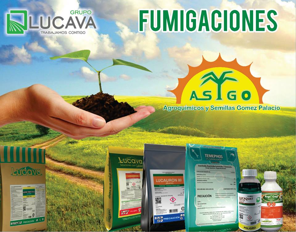 FUMIGACIONES "ASGO"