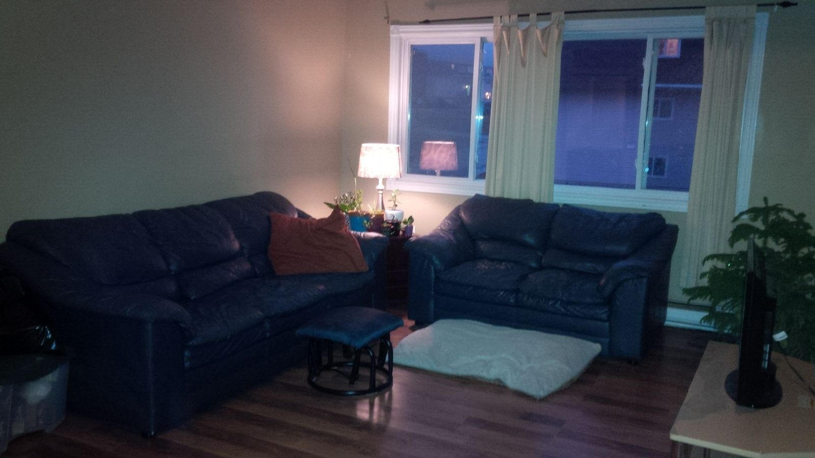 108 Coldbrook #9 Living Room