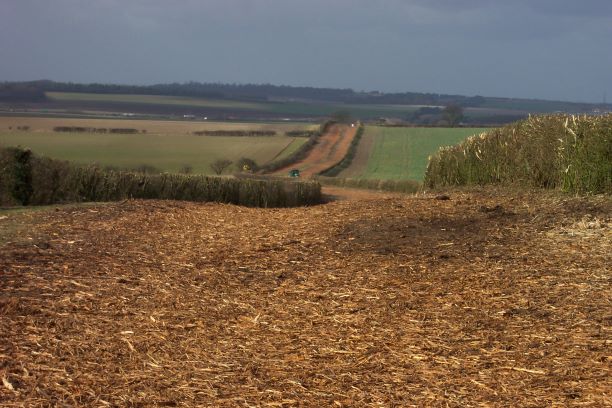 Site Clearance - Cambridgeshire