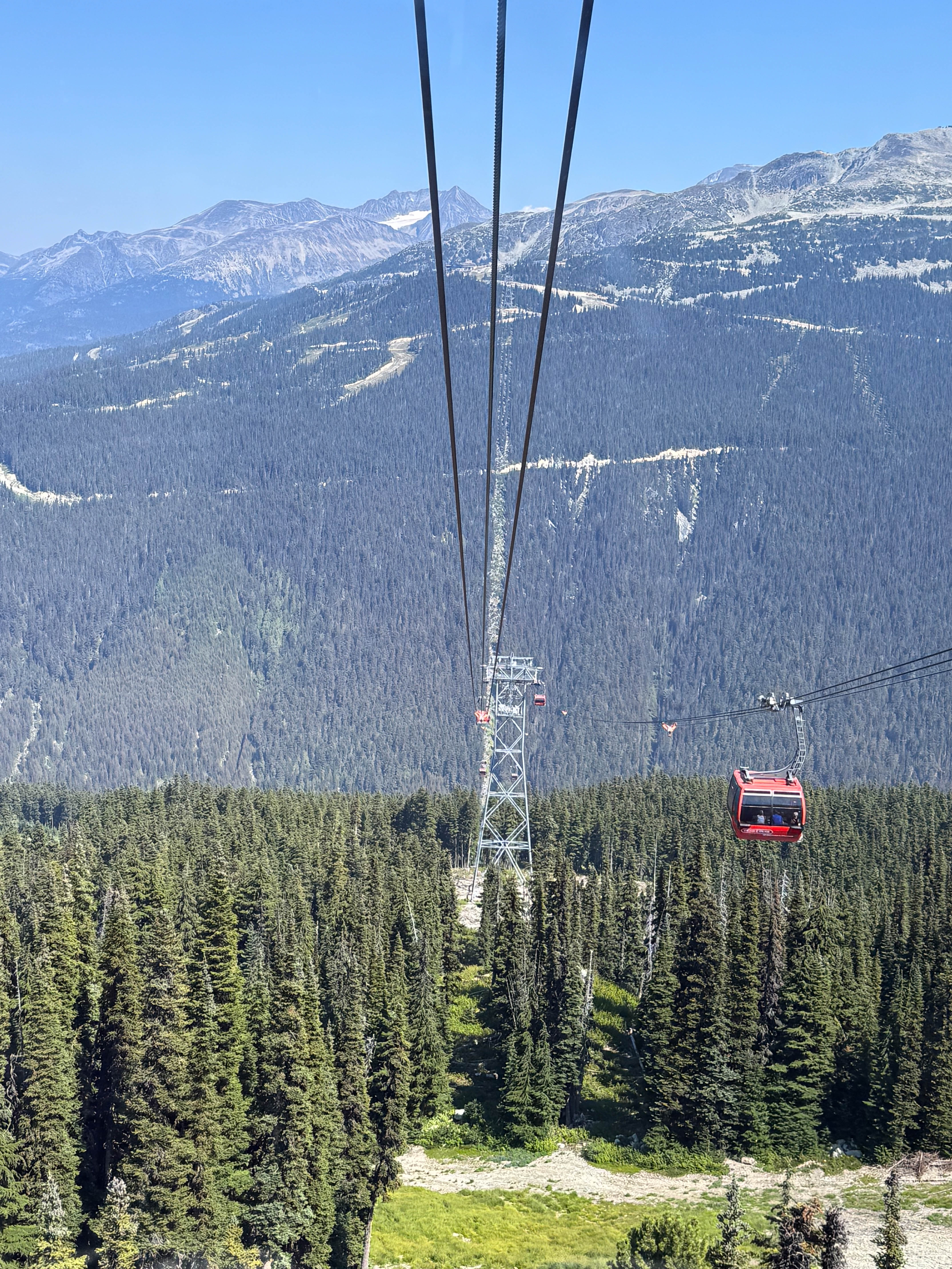 https://0201.nccdn.net/1_2/000/000/0f1/587/vancouver-order-39.jpg