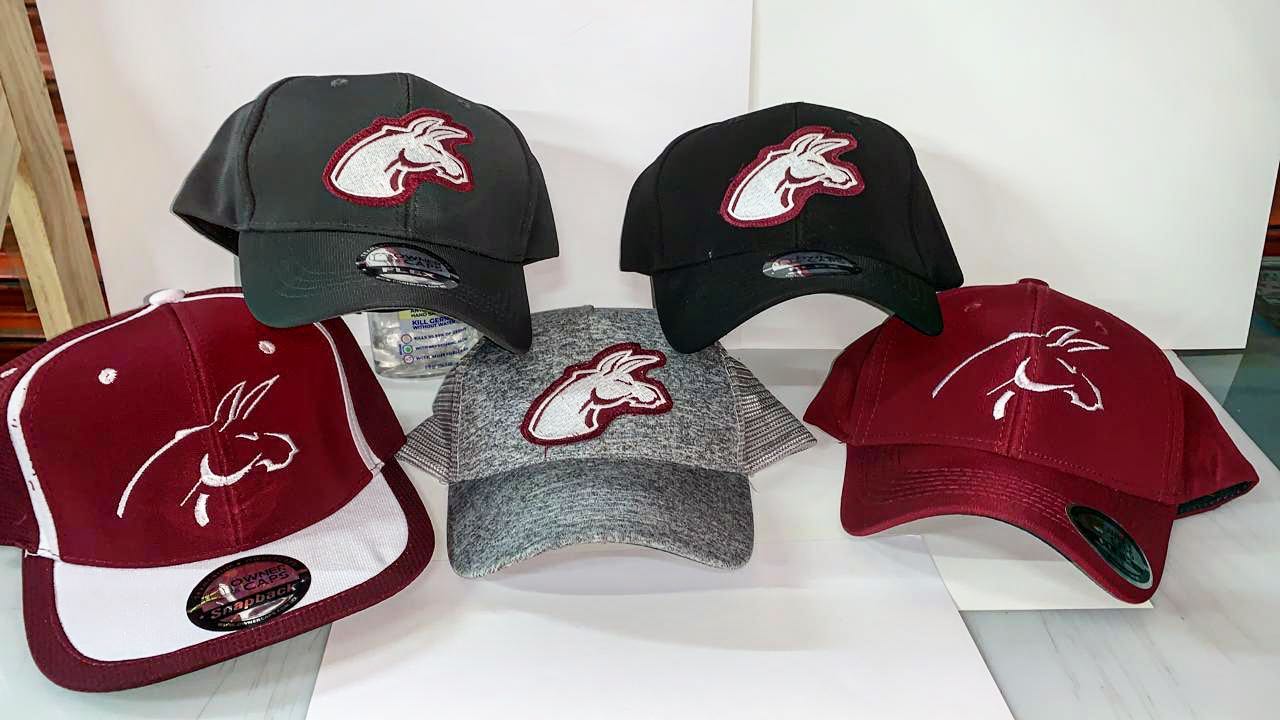 https://0201.nccdn.net/1_2/000/000/0f1/5c7/gorras4.jpg