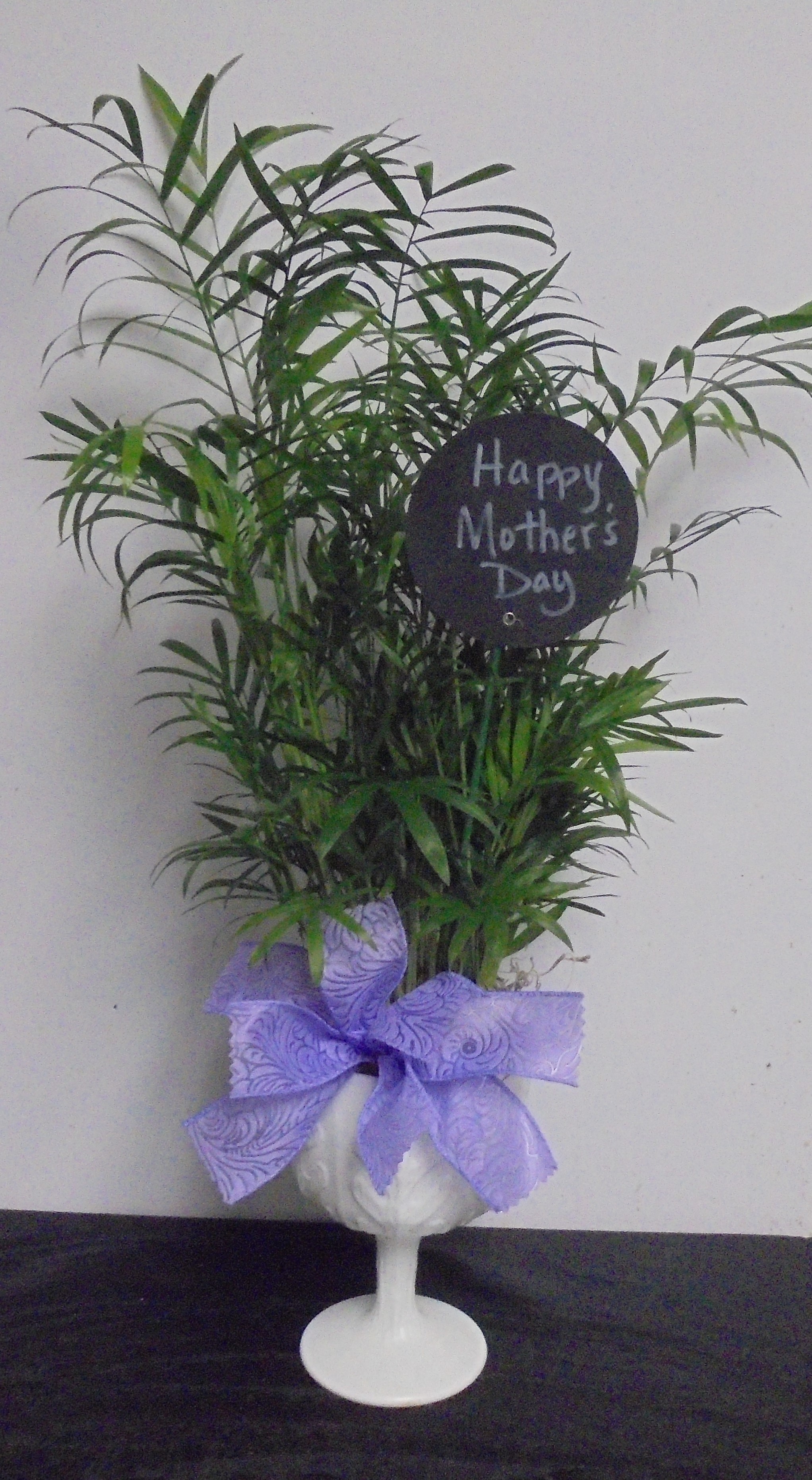 (26A)  "Palm" Plant In
"Vintage" Milk Glass Planter
$35.00