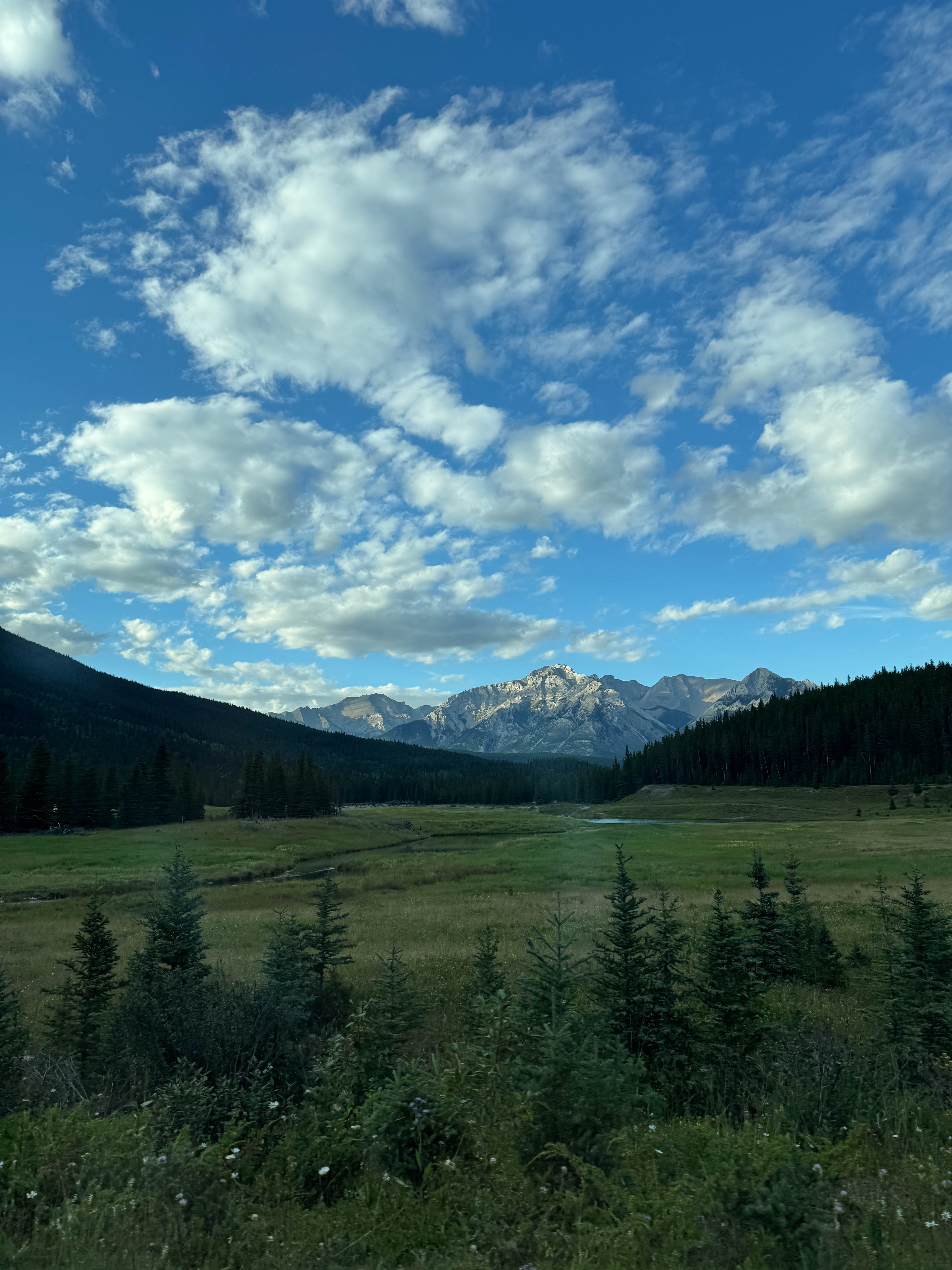 https://0201.nccdn.net/1_2/000/000/0f2/0cc/calgary-order-238.jpg