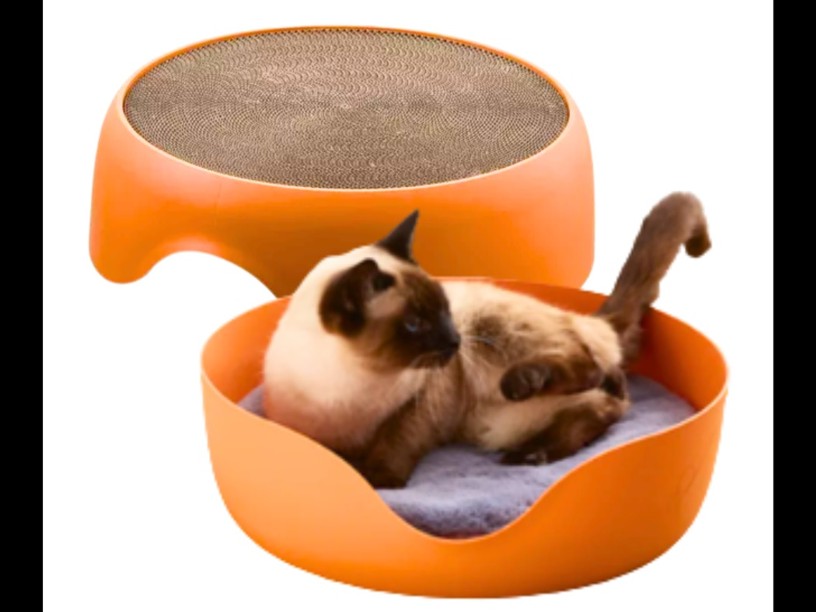 SA65 RASCADERO DOUBLE 
COLORES