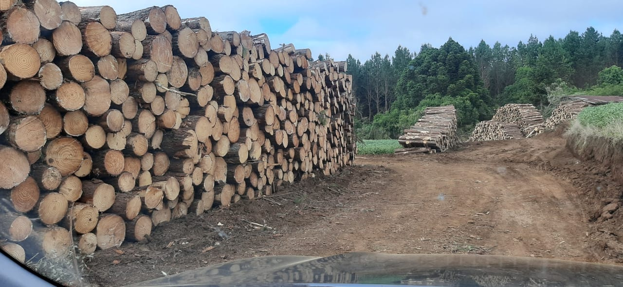 EMPILHAMENTO FORWARD