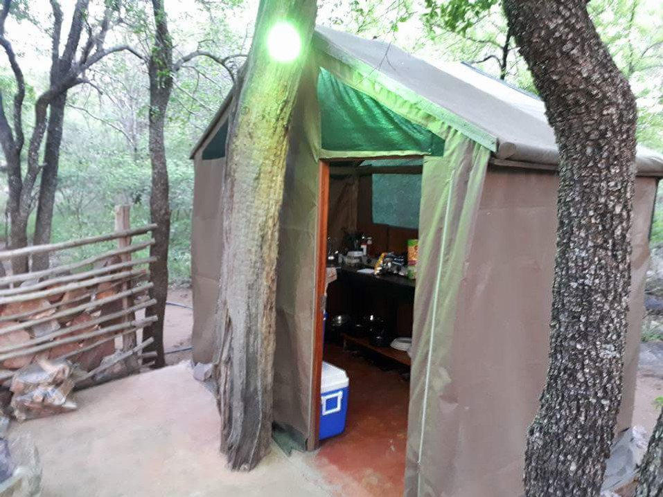 Tree Top Tent