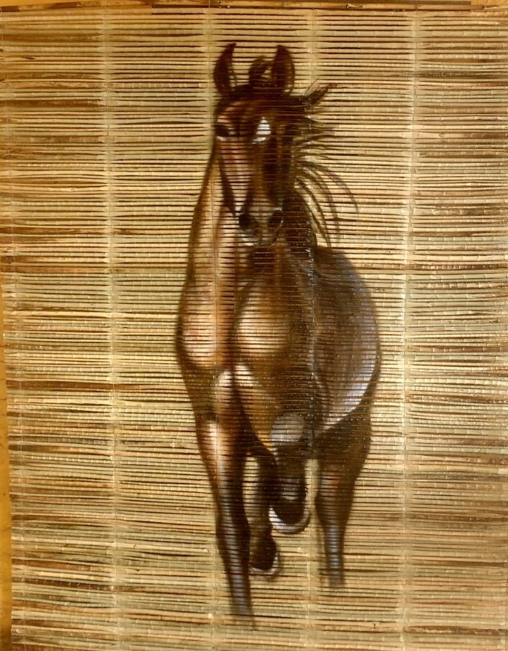 https://0201.nccdn.net/1_2/000/000/0f2/a89/Persiana-de-vara--caballo-713x914.jpg