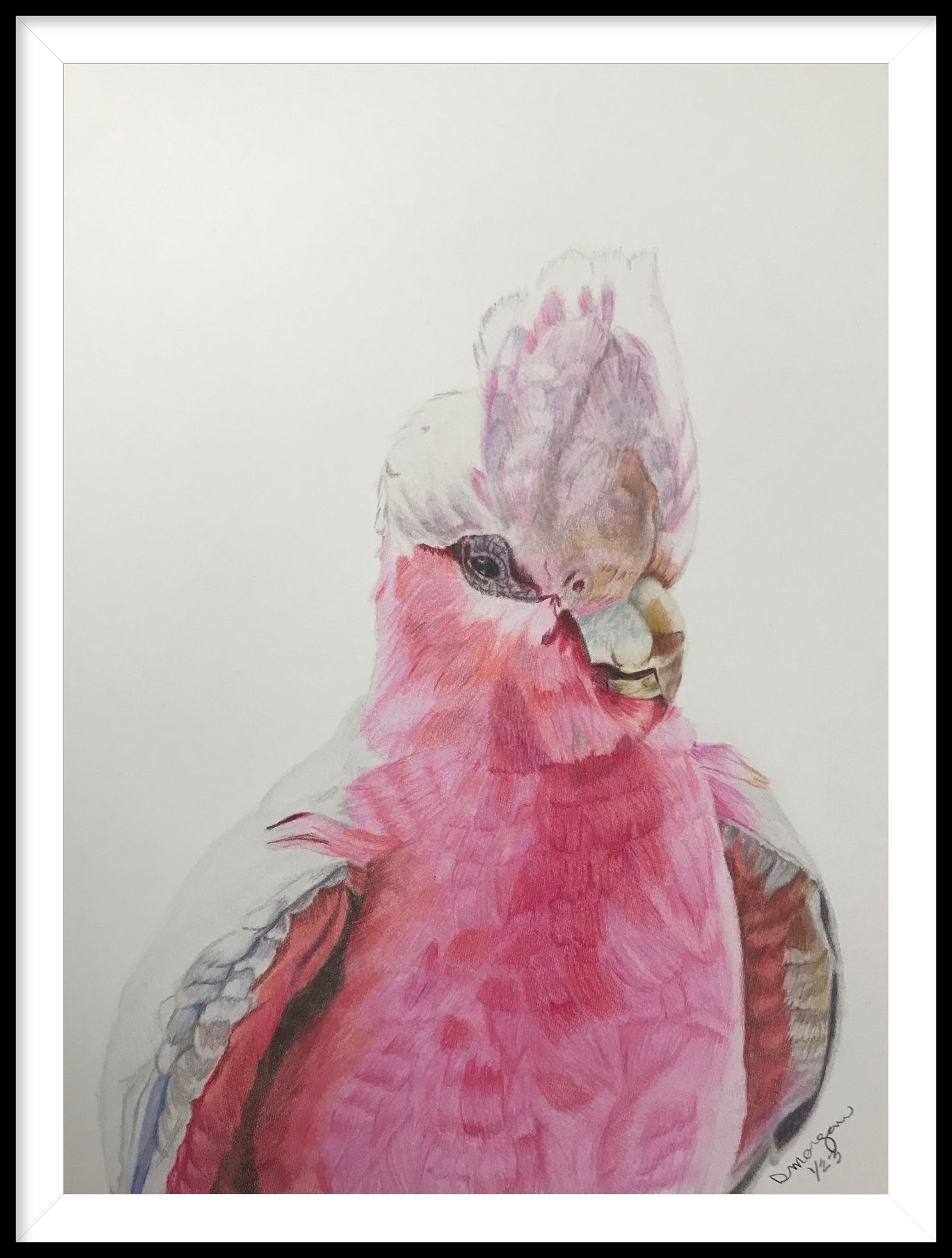 Master of the Bouffant