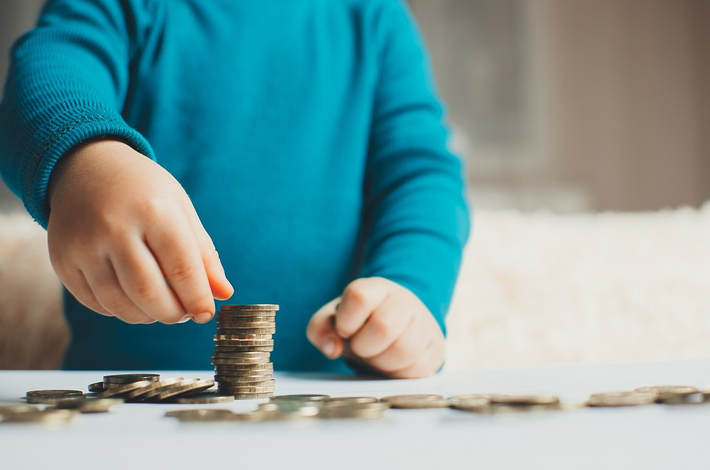 New Child Support Payment Option New Child Support Payment Option