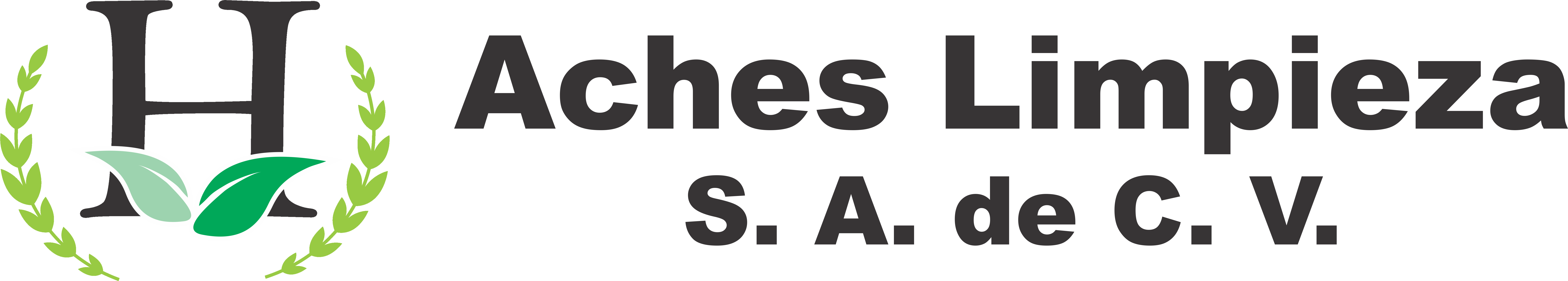 acheslimpieza.com