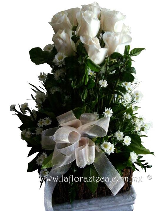 LFA-W006 Fuga de Rosas Blancas
Precio $1180