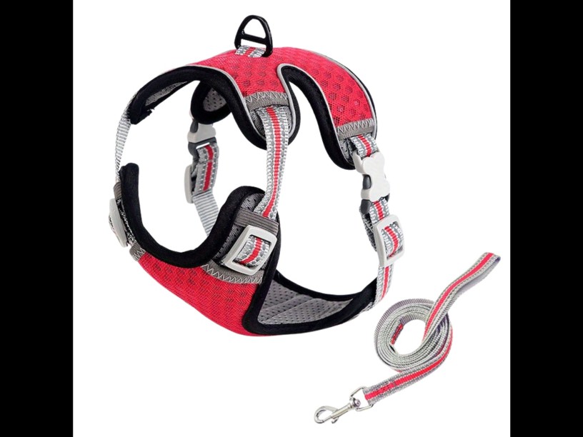 RO52 ARNES C/CORREA 
C/REFLEJANTE COLORES CH