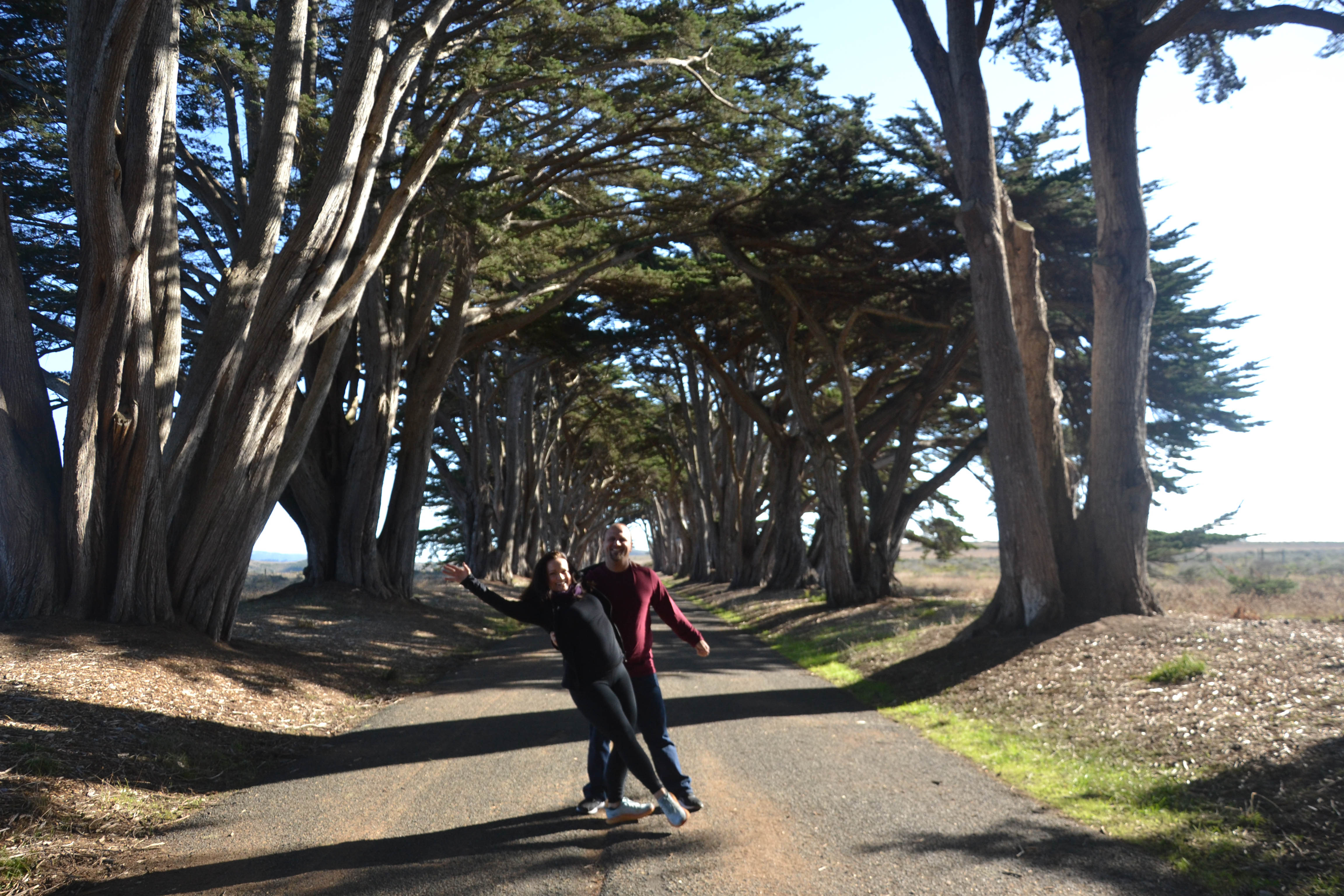 https://0201.nccdn.net/1_2/000/000/0f4/128/san-fran-order-2-111.jpg