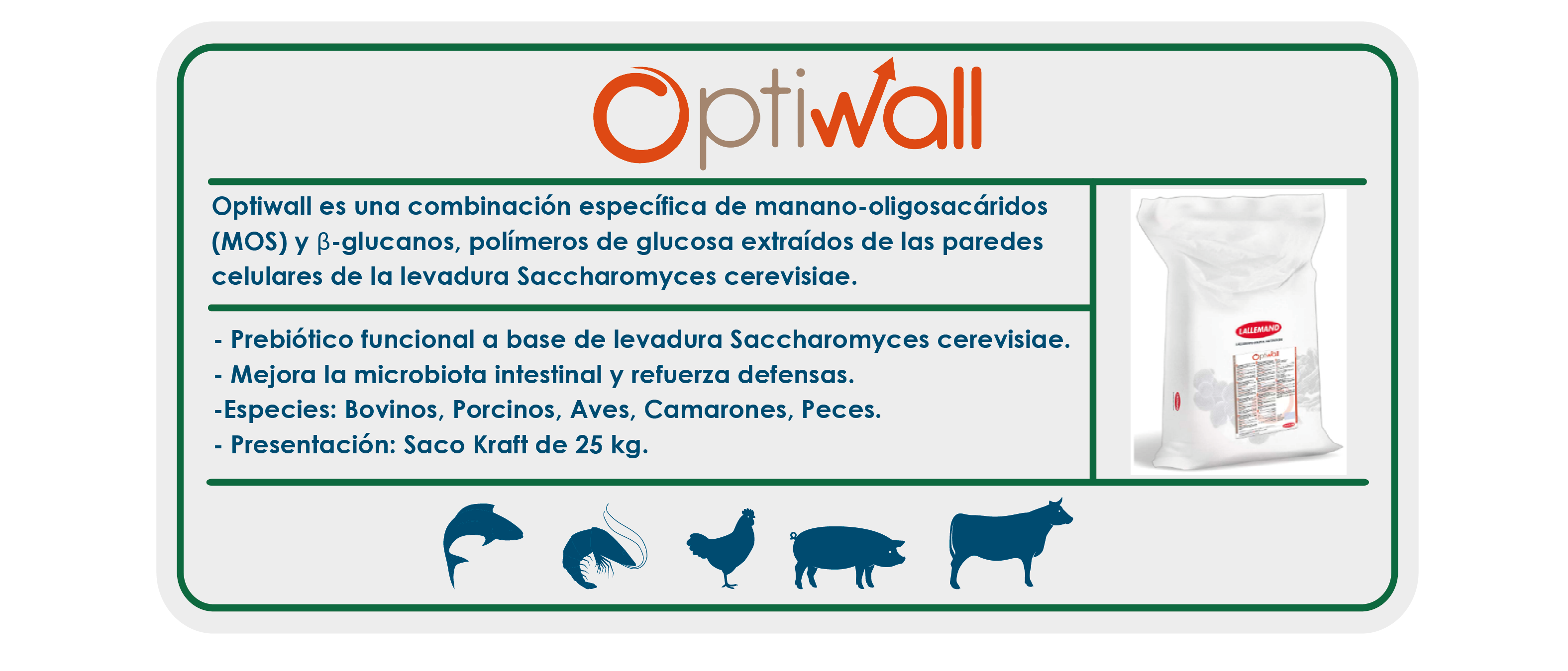 https://0201.nccdn.net/1_2/000/000/0f4/414/ficha_ecommerce-05.png