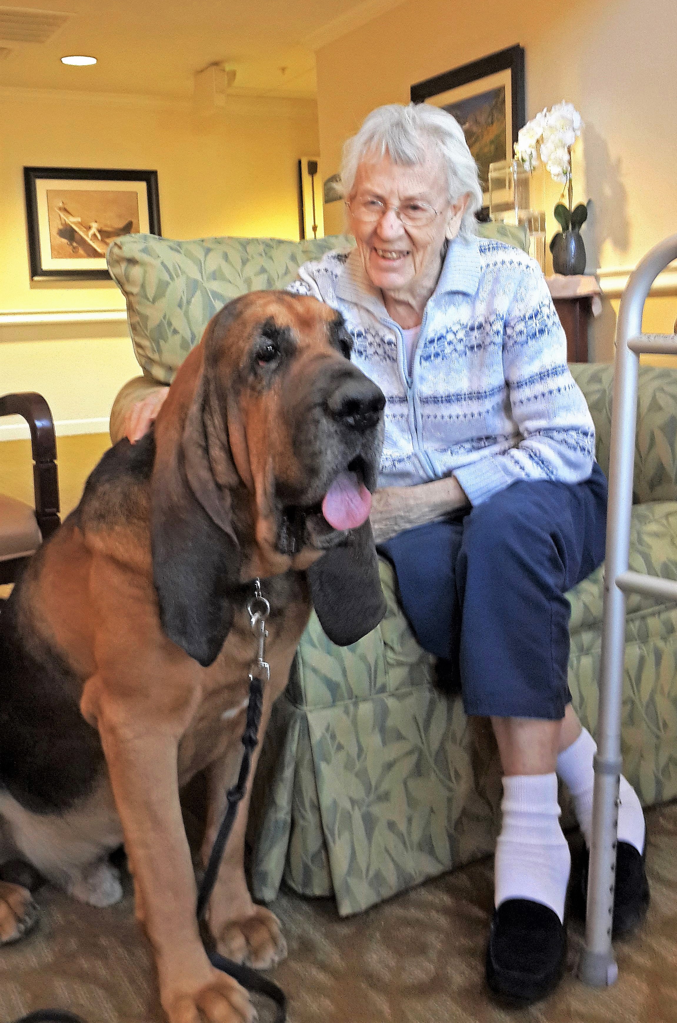 https://0201.nccdn.net/1_2/000/000/0f4/7f2/z-seb-with-a-very-happy-senior-on-dog-joy-day--3-.jpg