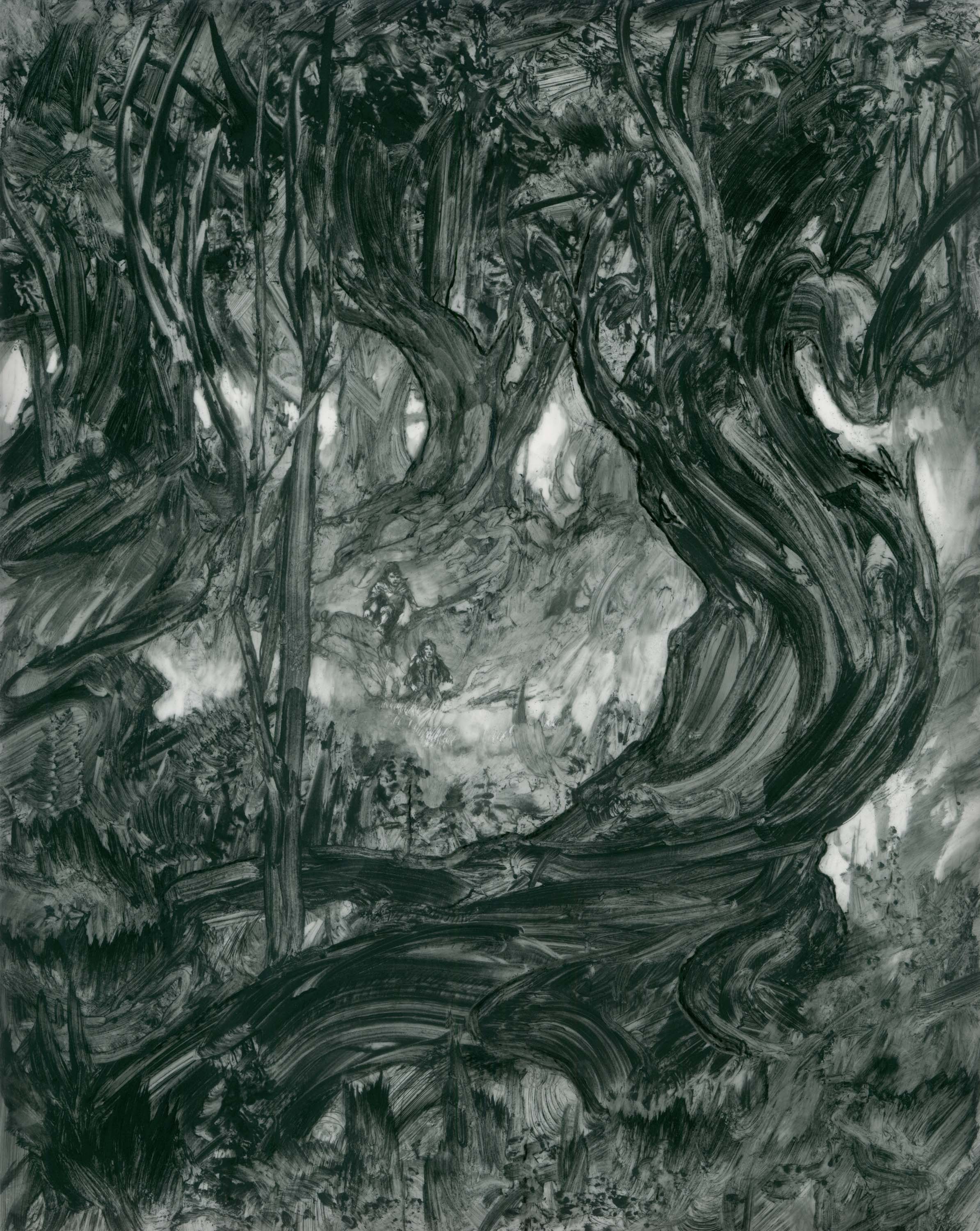 https://0201.nccdn.net/1_2/000/000/0f4/c67/enteringfangornforest.jpg