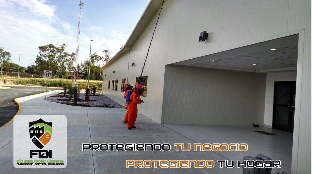 Coloque el título aquí