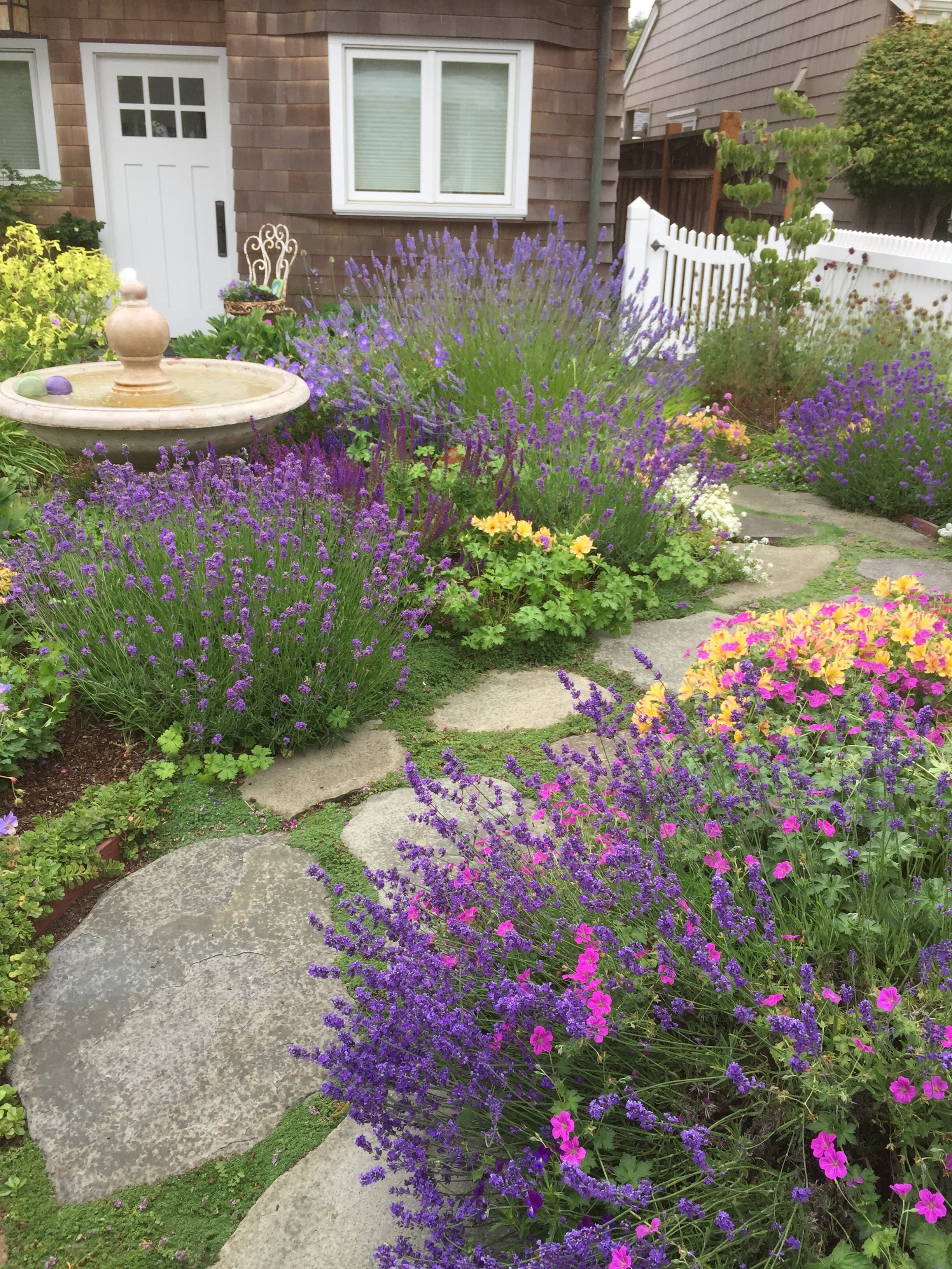 Capitola Cottage Garden 4