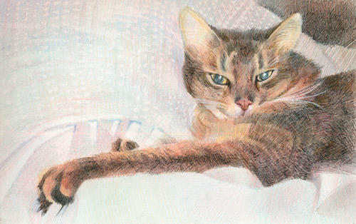 Life/Feline Art: One Way Stretch