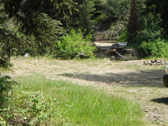 Stop 3: Horse camp/dispersed site in Jungle Cr subwatershed
TAP: N/A; Forest Plan direction is to improve riparian function in this area and at similar sits in Cabin Ck drainage
