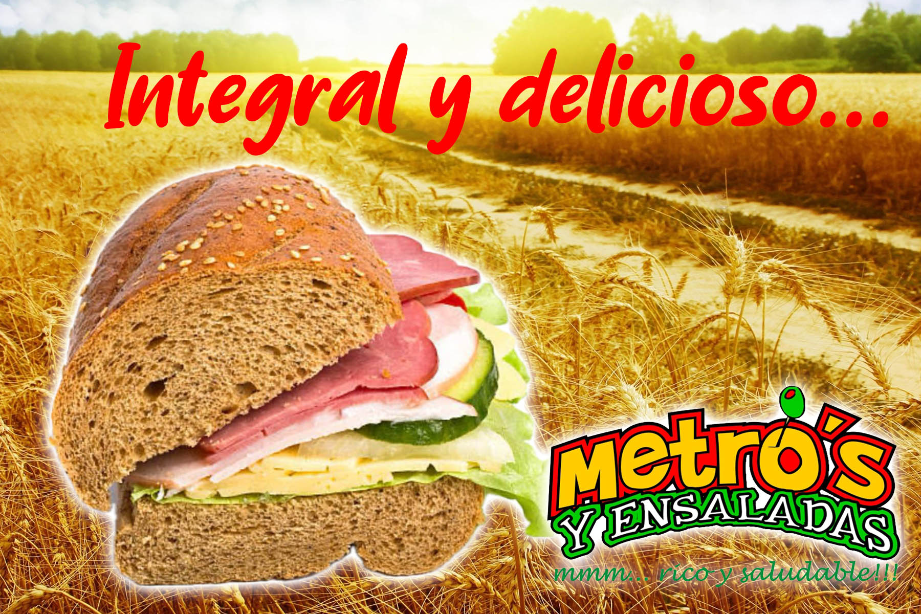 Whole grain sandwich with ham, cheese, cucumber and lettuce in wheat field, Metro’s y Ensaladas healthy food banner